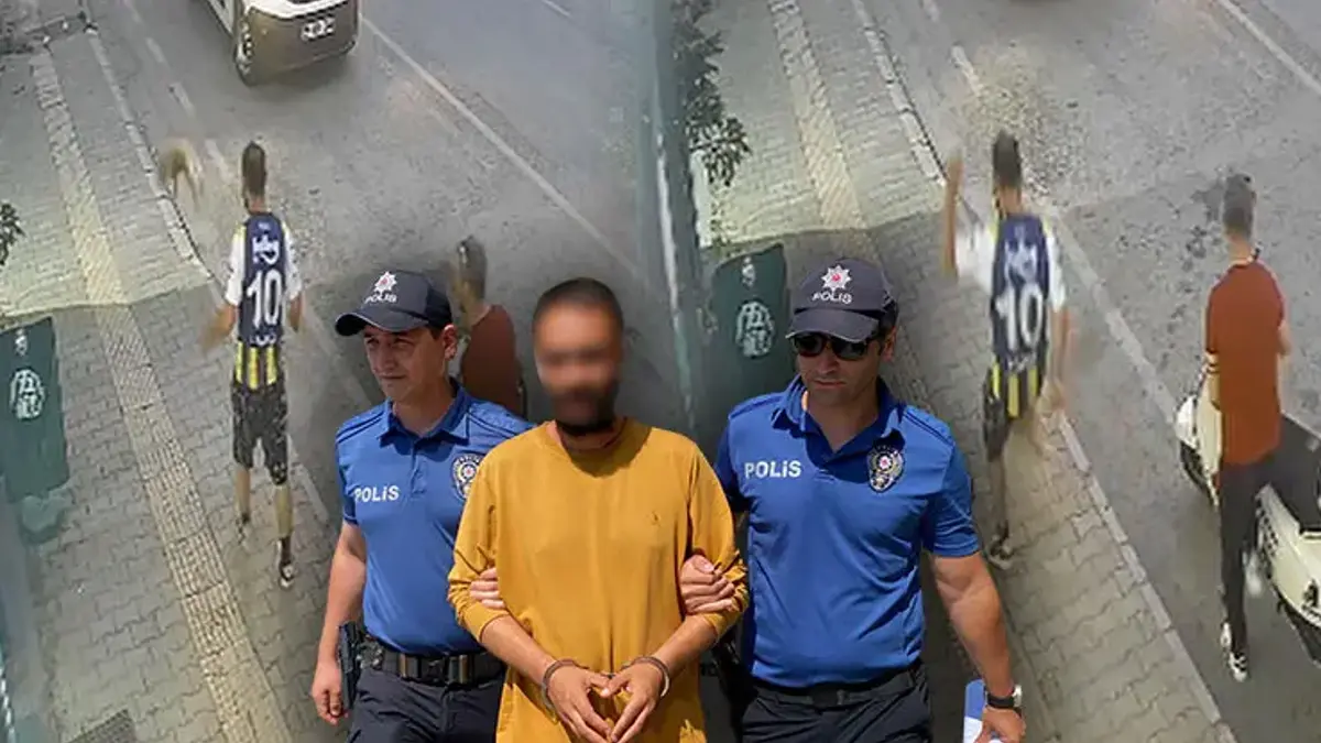 Samsun'da kediye tekme atan şüpheli tutuklandı! 'Sinirliydim, pişmanım'