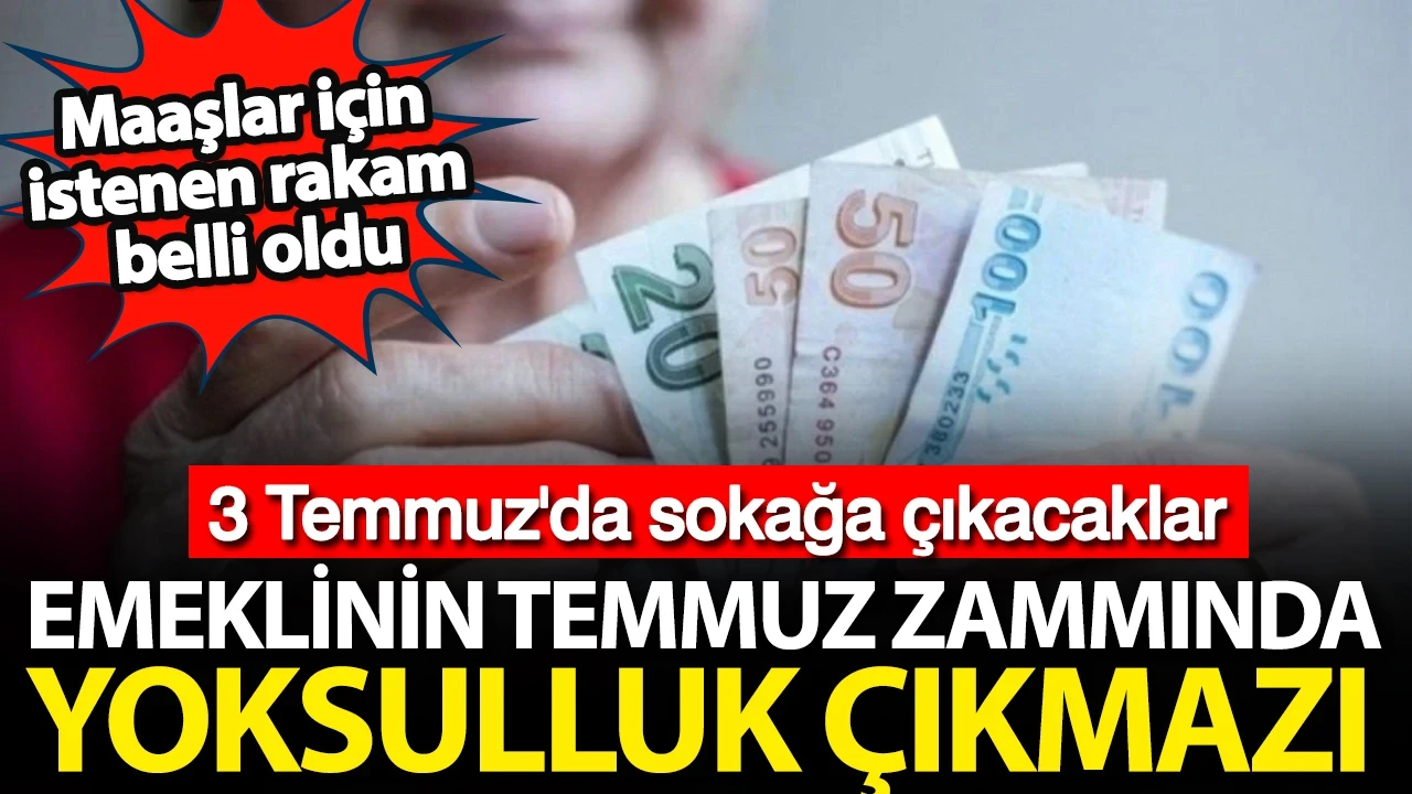 Emekli maaşı için istenen rakam belli oldu: Temmuz zammında yoksulluk çıkmazı