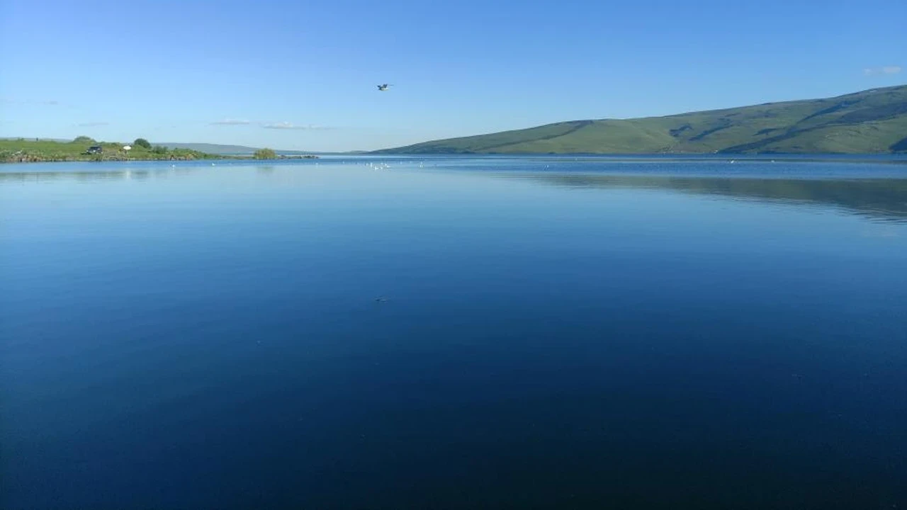 Ardahan'da sıcaktan bunalan gençler Çıldır Gölü'ne giriyor