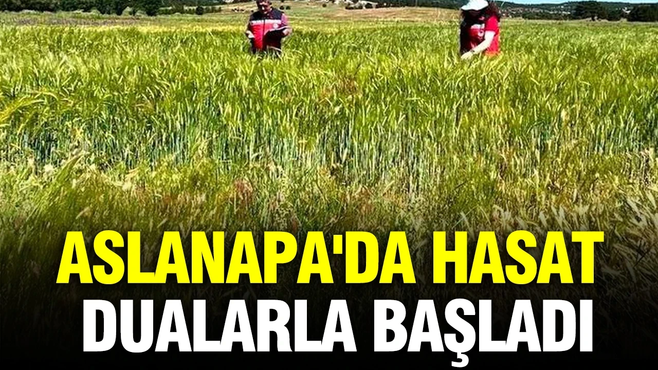 Aslanapa'da hasat dualarla başladı