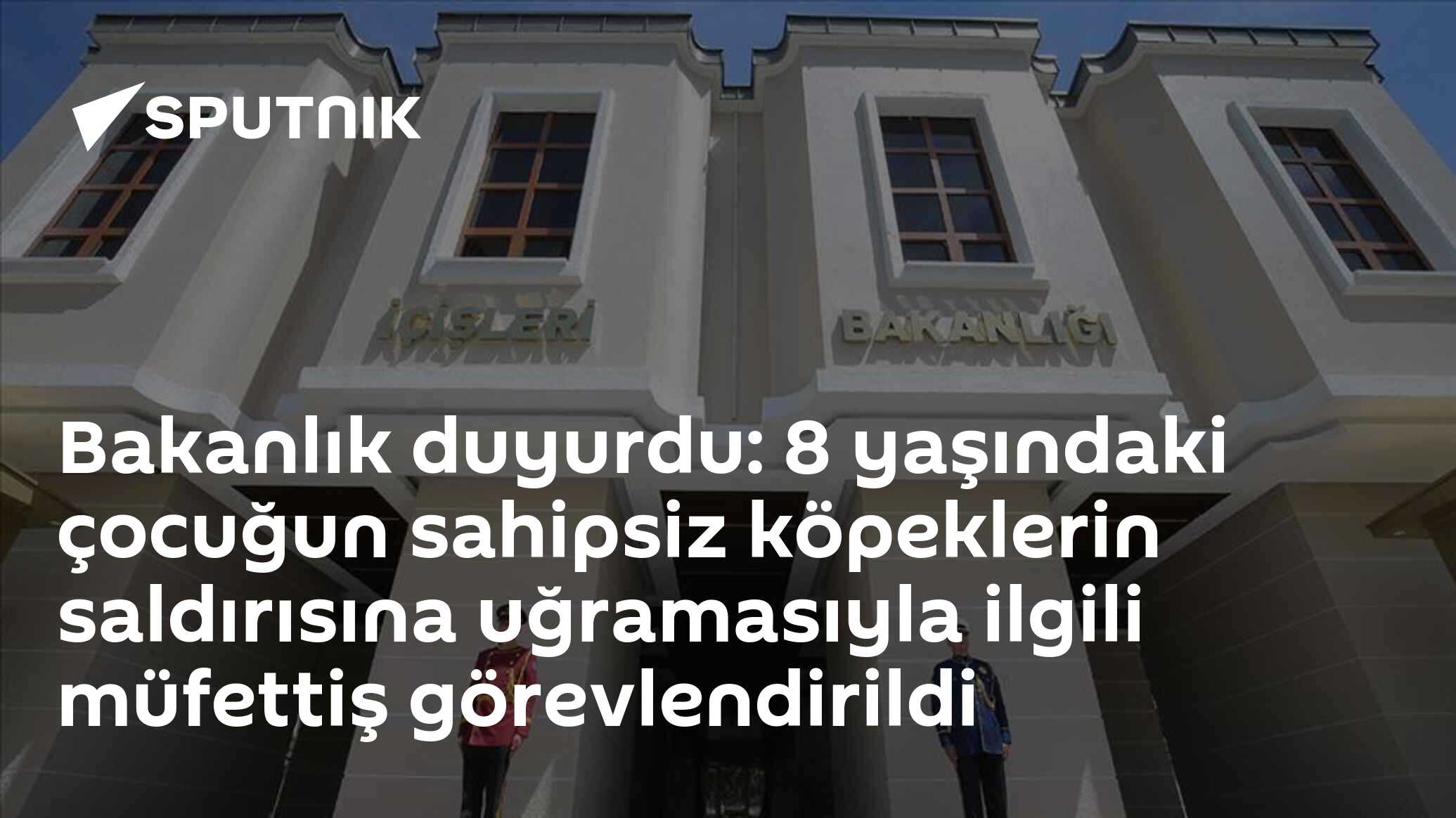 Bakanlık duyurdu: 8 yaşındaki çocuğun sahipsiz köpeklerin saldırısına uğramasıyla ilgili müfettiş görevlendirildi