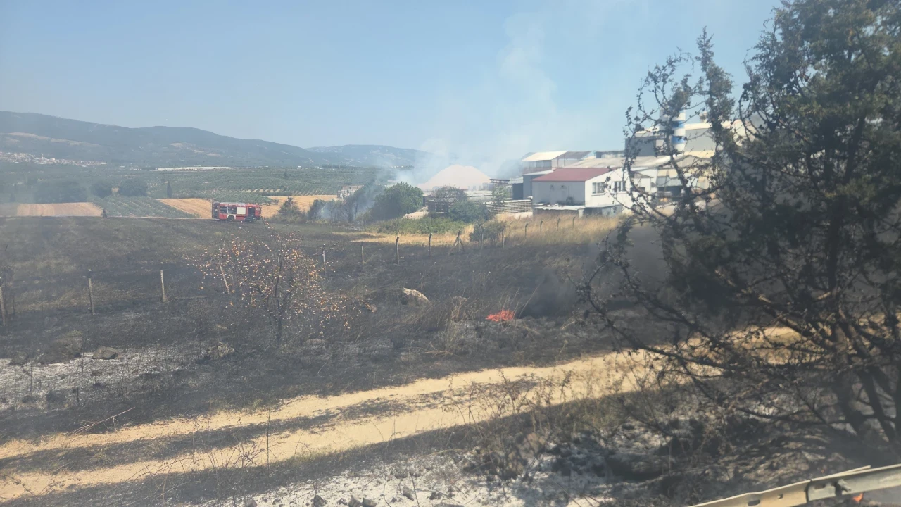 Yol kenarındaki yangın panik yarattı