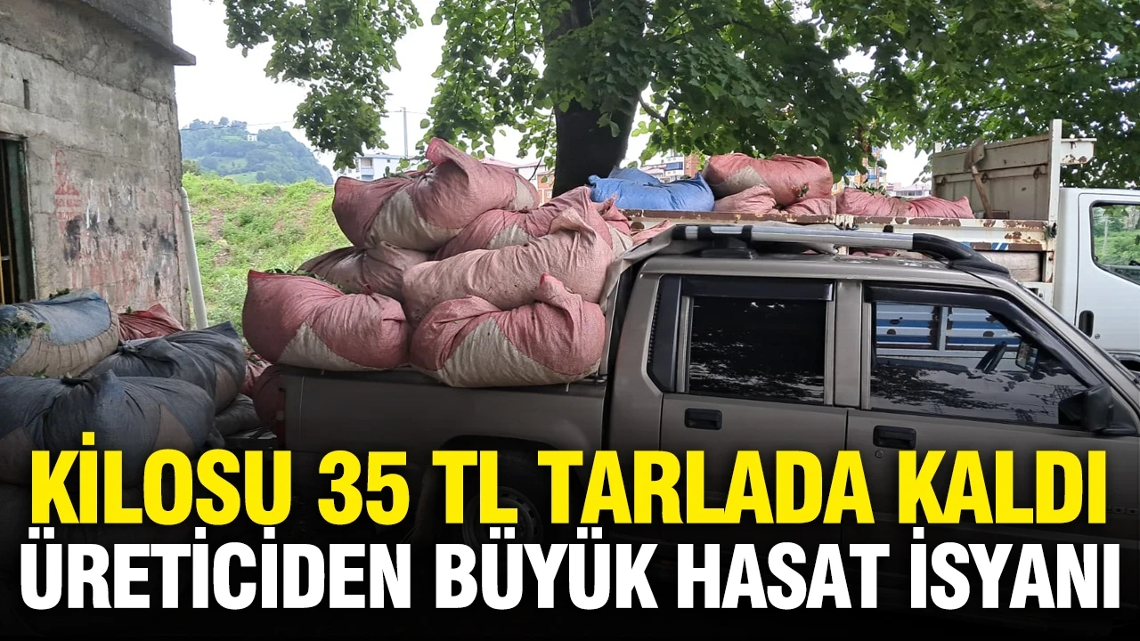Kilosu 35 liradan tarlada satılamıyor: Üretici dertli