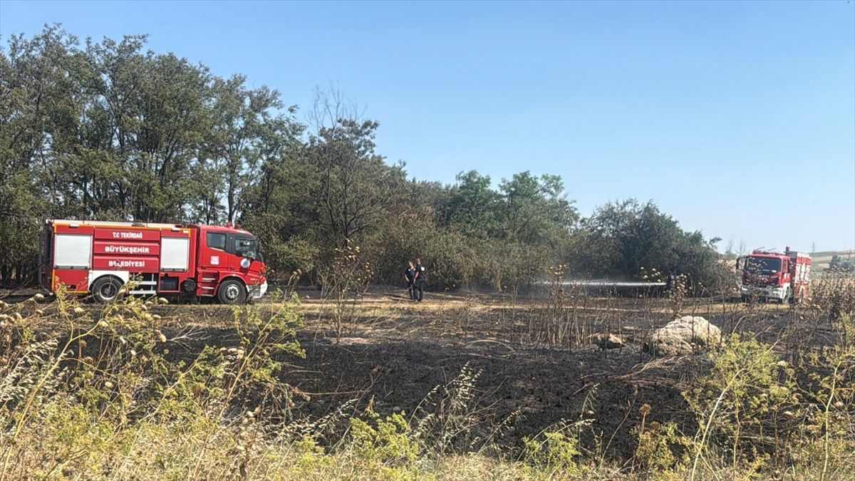 Tekirdağ'da otluk alanda çıkan yangın söndürüldü