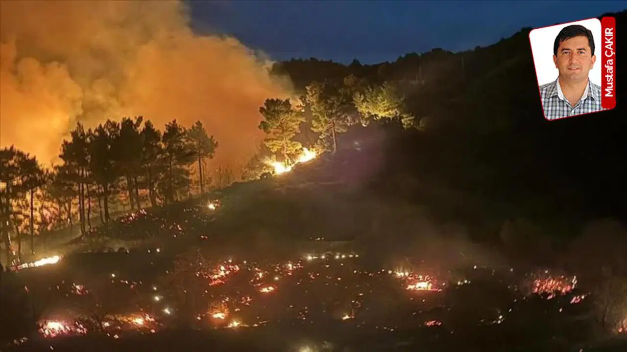Muğla’da 2021 yılında küle dönen dağların zirvelerinde rüzgar türbinleri yükselmeye başladı