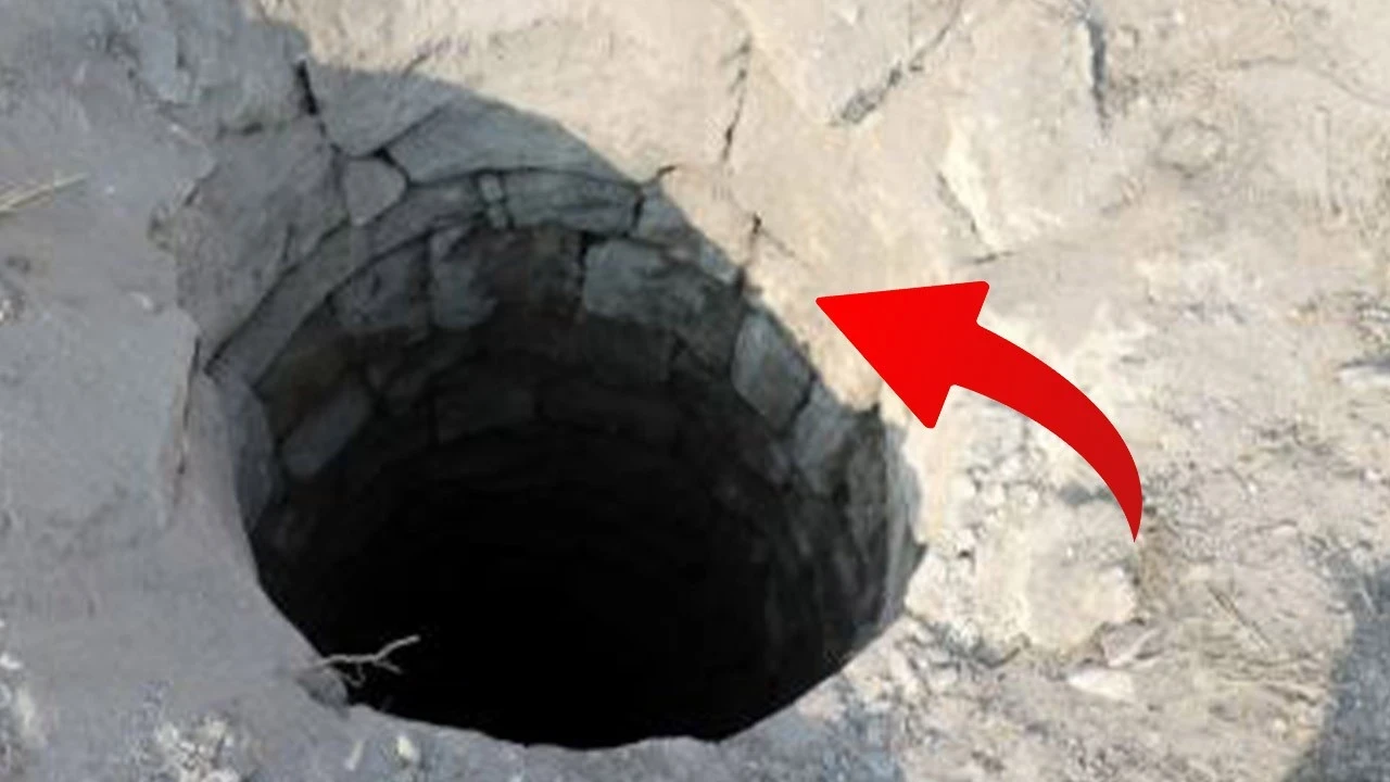 Mersin'de 18 metrelik kuyunun içinden çıkarıldı! Canlı olması herkesi hayrete düşürdü