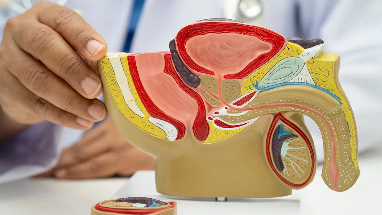 Erkeklerde en sık görülen kanser türü: Prostat kanserinde doğru bilinen 7 yanlış!