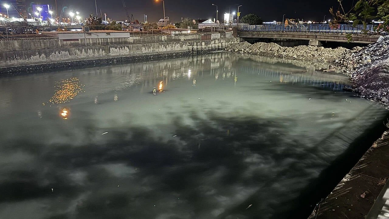 Bakırköy sahilinde binlerce ölü balık kıyıya vurdu
