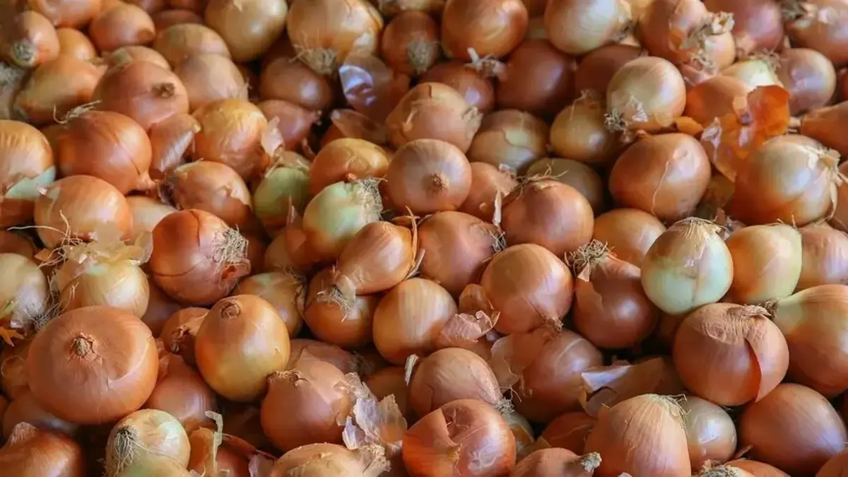 Kuru soğan ithalatında gümrük vergisi geçici olarak yüzde 5'e indirildi