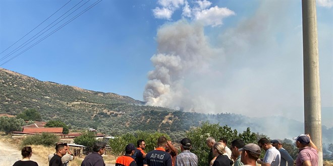 Aydın'da zeytinlik ve otluk alanda yangın: 20 ev tahliye edildi