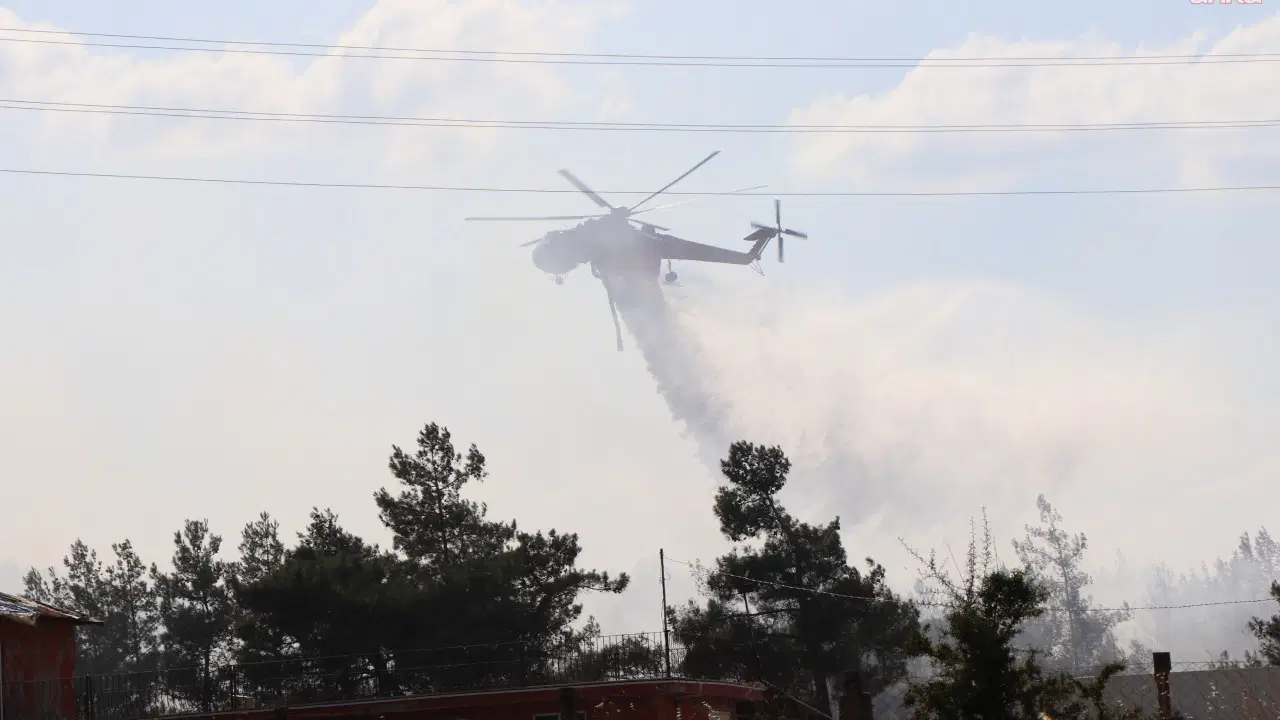 Muğla’da ziraat alanından ormana sıçrayan yangında 1 gözaltı