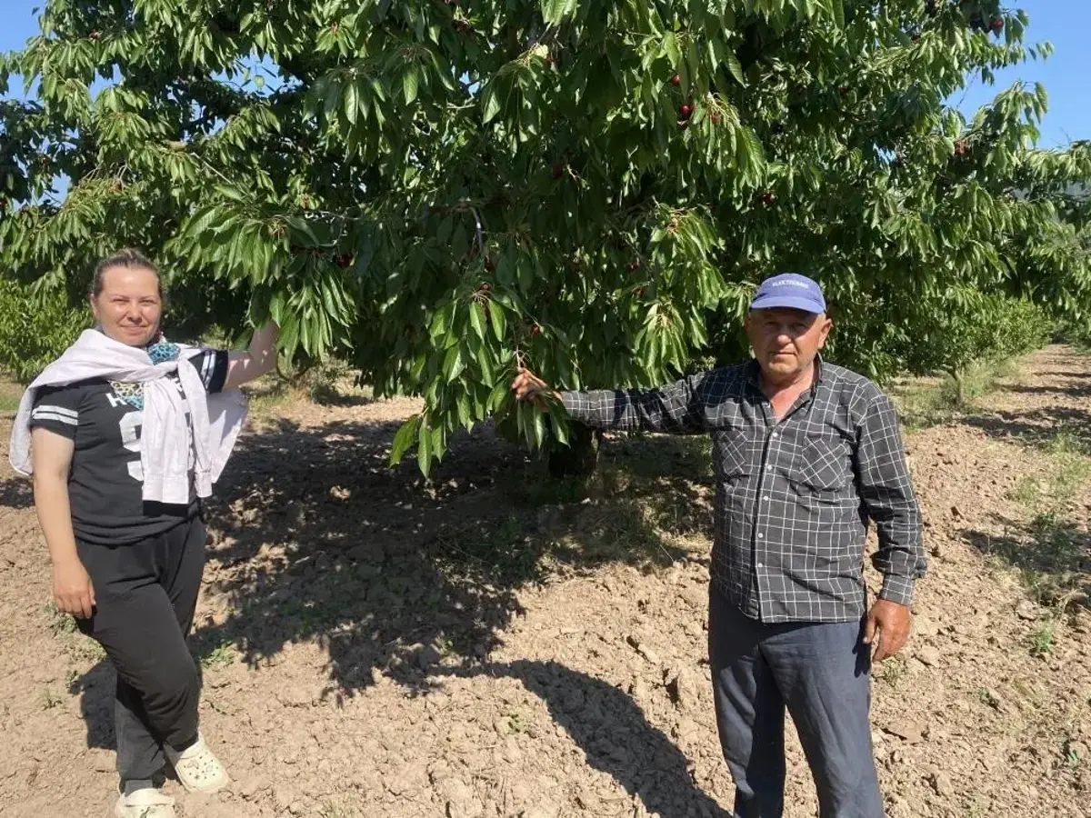 Hasatta sona yaklaşıldı! Yazın en sevilen meyvesi 60 liradan 250 liraya çıkıyor