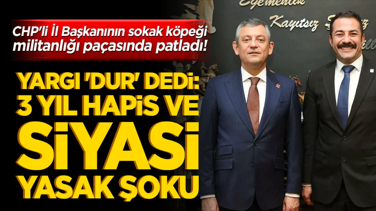 CHP'li İl Başkanının sokak köpeği militanlığı paçasında patladı! Yargı 'dur' dedi: 3 yıl hapis ve siyasi yasak şoku!