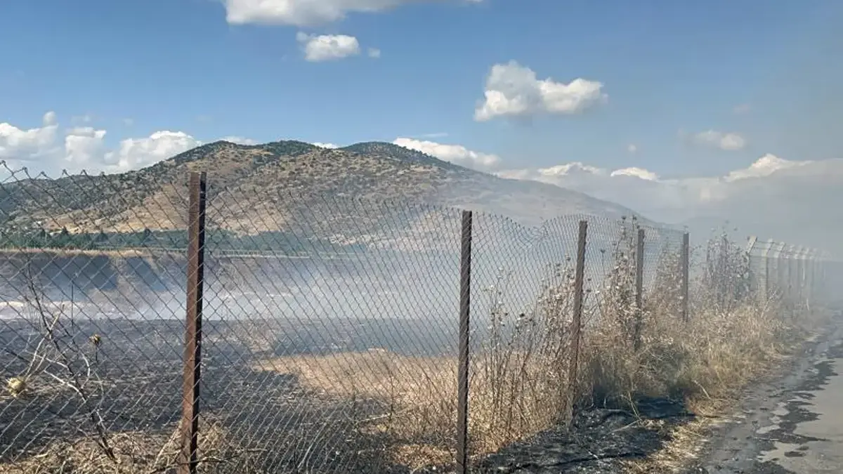 Ciğerlerimiz yanıyor: İzmir'de peş peşe yangın!