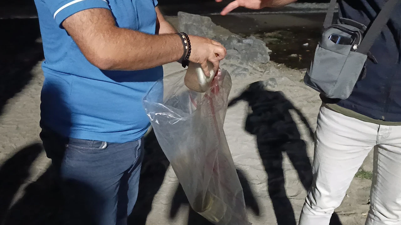 Tekirdağ Değirmenaltı Deresi'nde balık ölümleri alarmı: Kurumlar seferber oldu