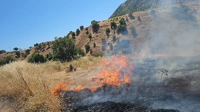 Diyarbakır’da örtü yangını