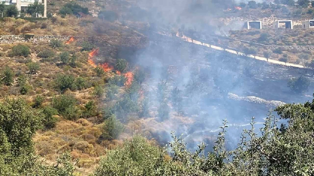Son dakika | Bodrum'da makilik alanda yangın: Ekipler harekete geçti