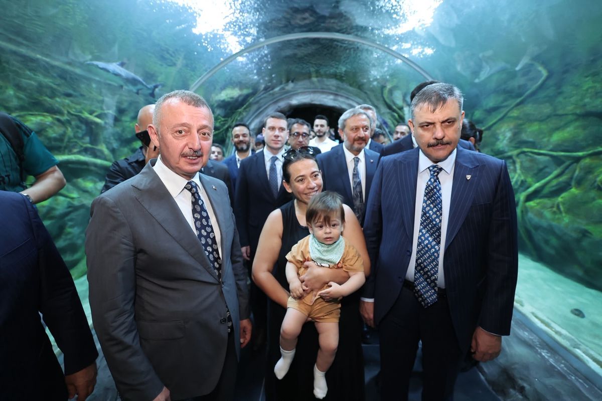 Bakan Çiftçi: Sahipsiz sokak hayvanlarının yüzde 92,35'i barınaklarda muhafaza ediliyor