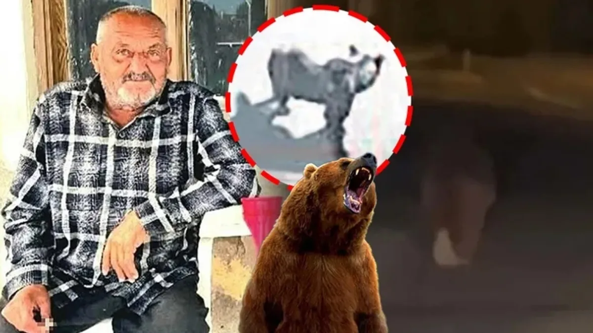 SON DAKİKA… İzmir’de 71 yaşındaki Osman Güntaş ayı saldırısında can vermişti! Türkiye’nin konuştuğu vahşette yeni gelişme…