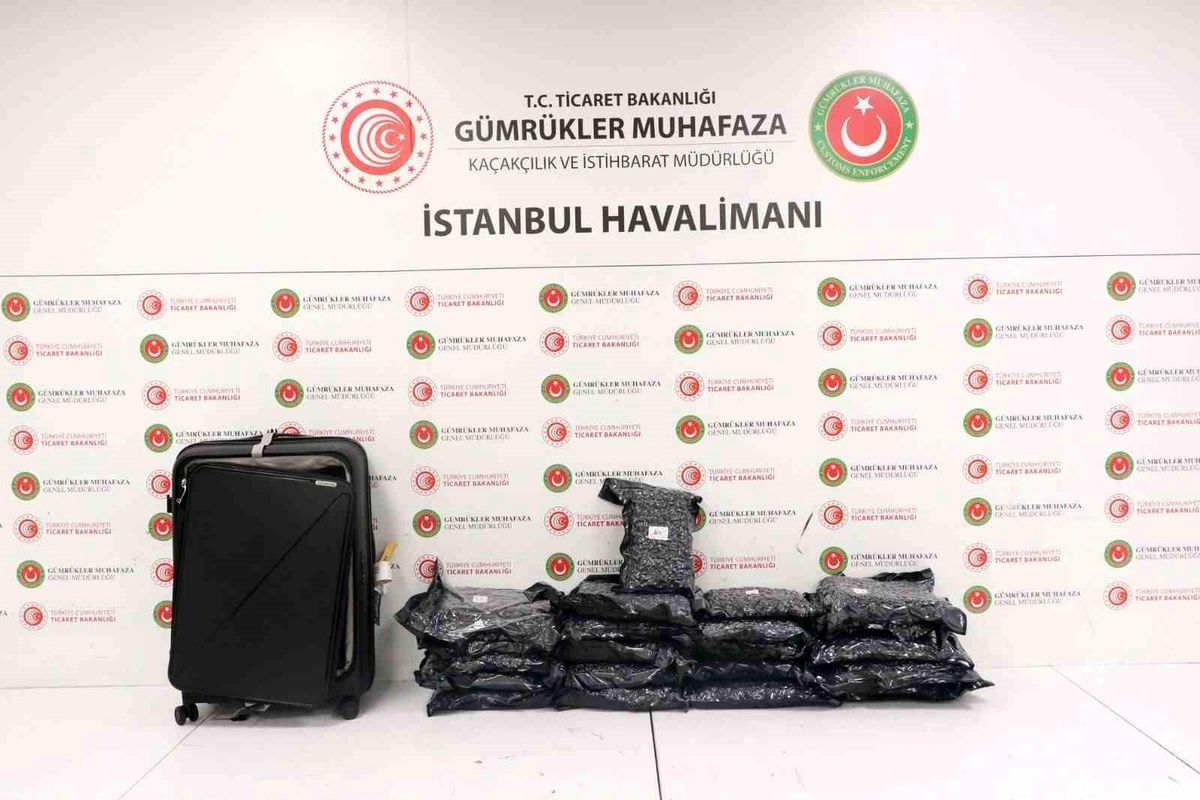 İstanbul Havalimanı'nda uyuşturucu operasyonu: 22,5 kilogram esrar ele geçirildi