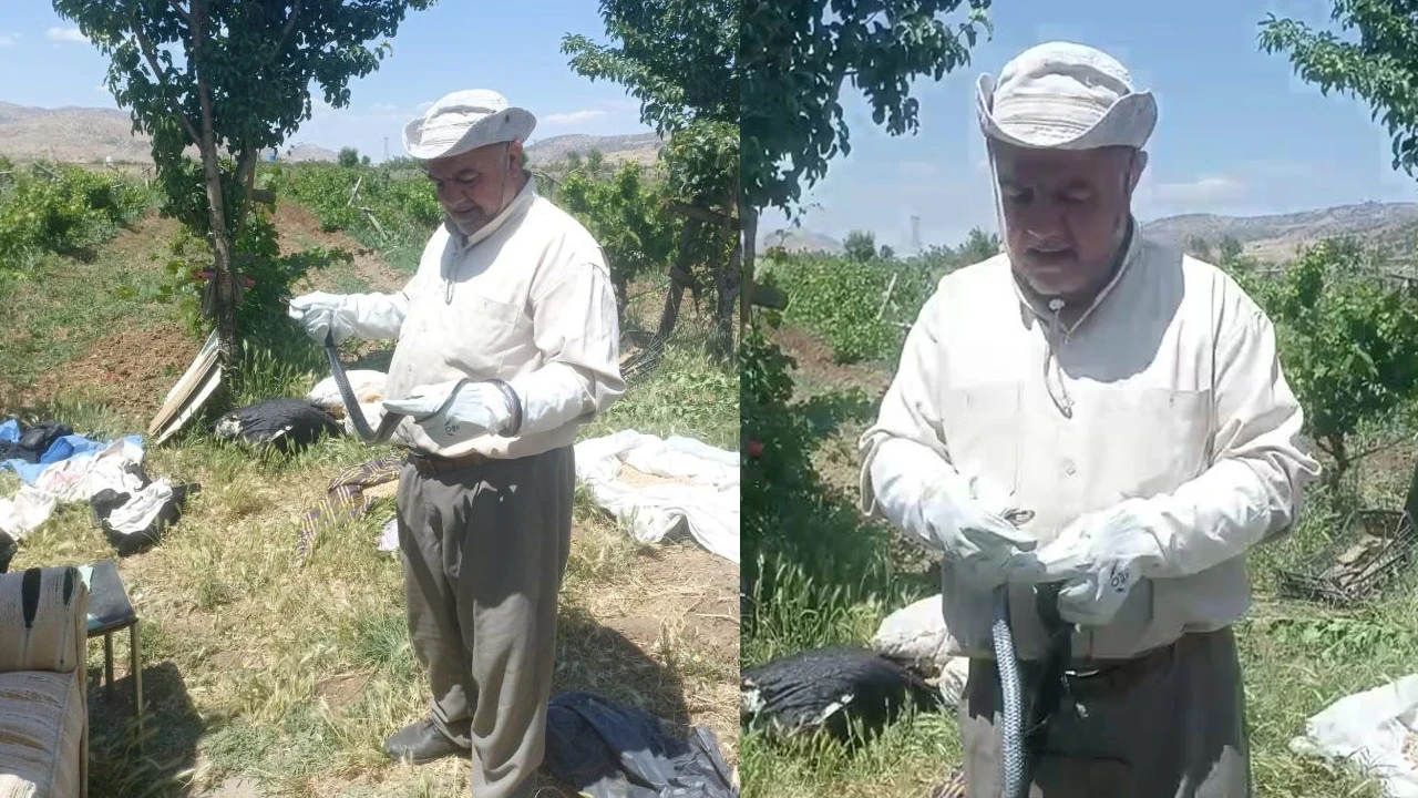 Batman'da bahçesine giren yılanı zarar vermeden doğaya salan vatandaş örnek oldu
