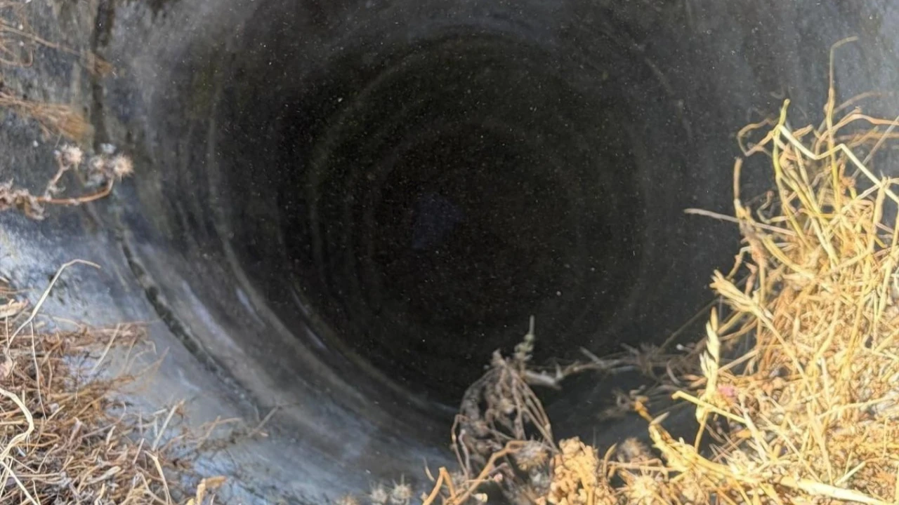 İzmir’de 20 metre derinliğindeki kuyuya düştü, yaralı kurtarıldı