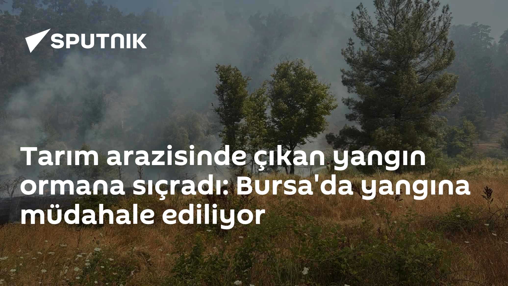 Tarım arazisinde çıkan yangın ormana sıçradı: Bursa'da yangına müdahale ediliyor