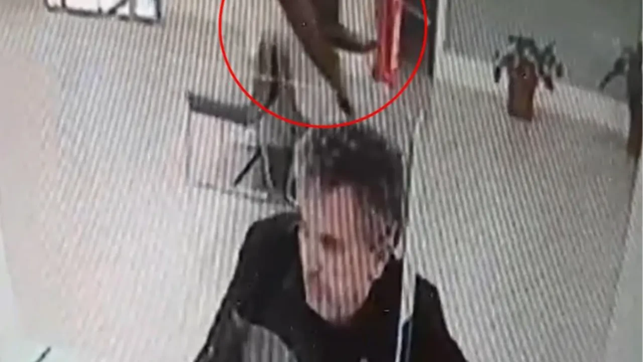 Banka şubesinde ilginç anlar: 'Gökten para beklerken' tepesine kedi düştü