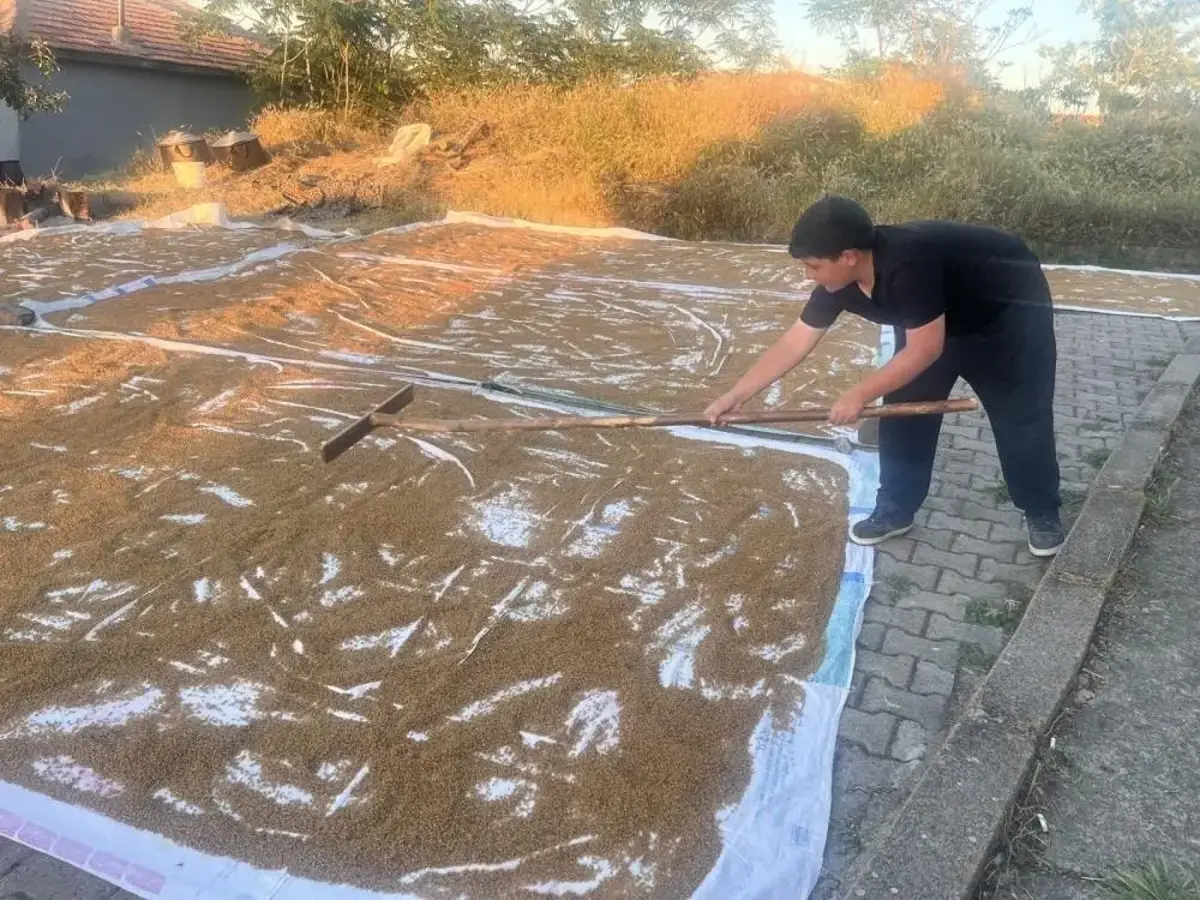 Kırşehir'de hazırlığı şimdiden başladı: Kış mutfağında her evde yer alıyor