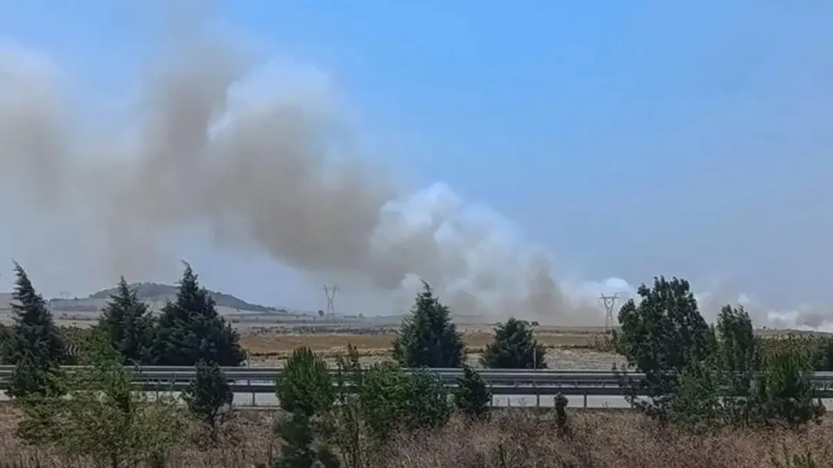Balıkesir'de orman yangını! Ekipler müdahale ediliyor