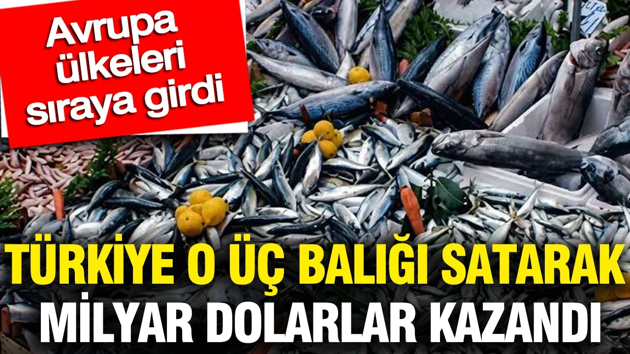 Türkiye o üç balığı satarak milyar dolarlar kazandı: Avrupa ülkeleri sıraya girdi