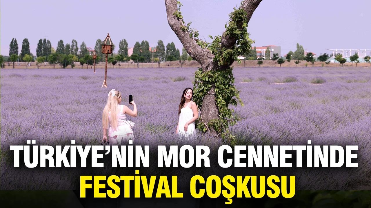 Türkiye'nin mor cennetinde festival coşkusu