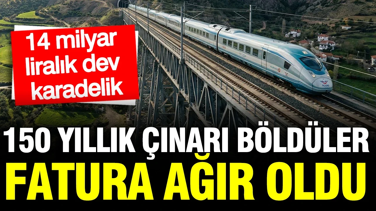 150 yıllık çınarı böldüler, fatura ağır oldu: 14 milyar liralık dev karadelik