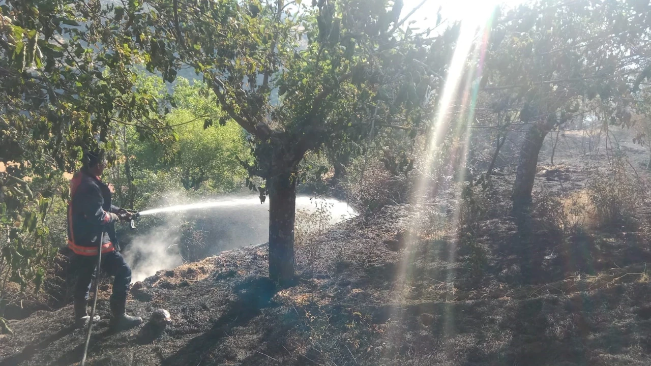 Malatya'da yangın: 2 ev ve 20 dönümlük alan zarar gördü