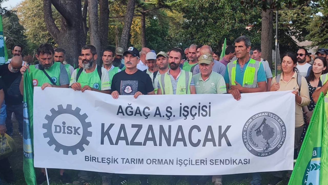 Ağaç A.Ş.’de ‘kanunsuz’ kıyım