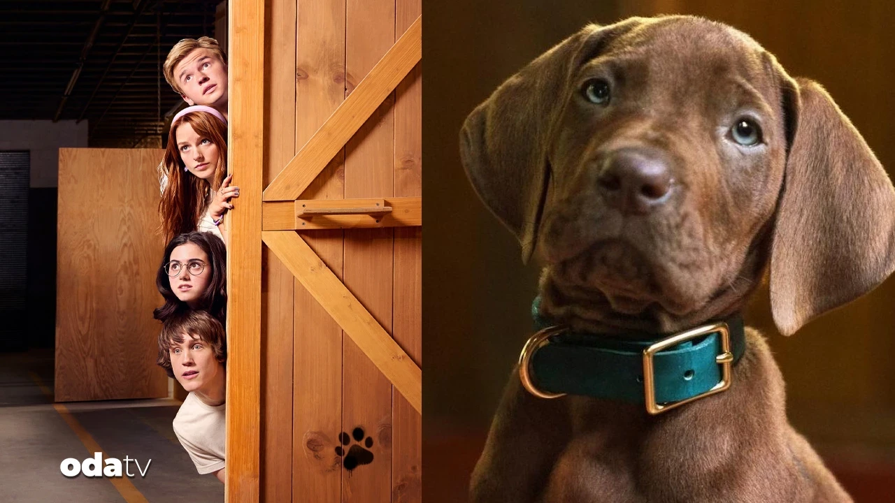 Netflix’in Scooby-Doo dizisinden ilk görüntüler
