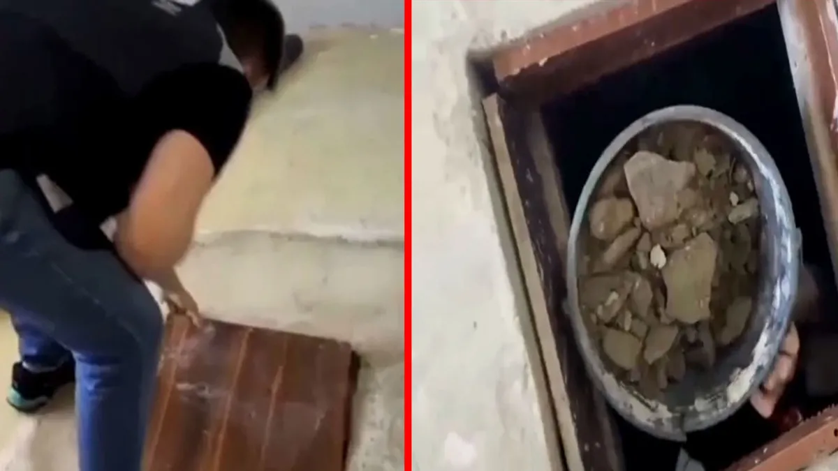 Samsun'da akılalmaz define oyunu! Halı serip kaçak kazı yaptılar: 4 şüpheli yakalandı