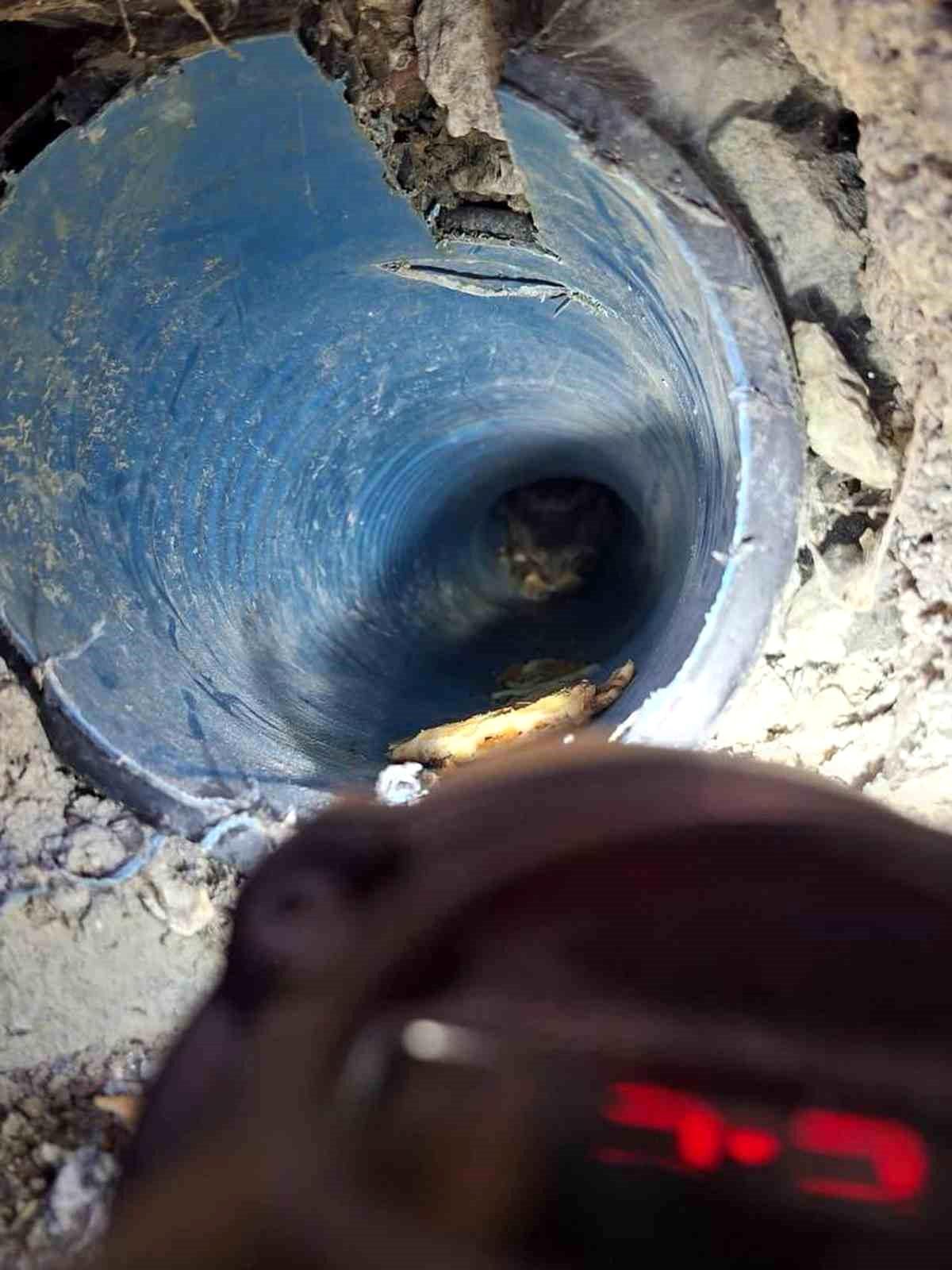 Kuyuya düşen yavru köpek kurtarıldı