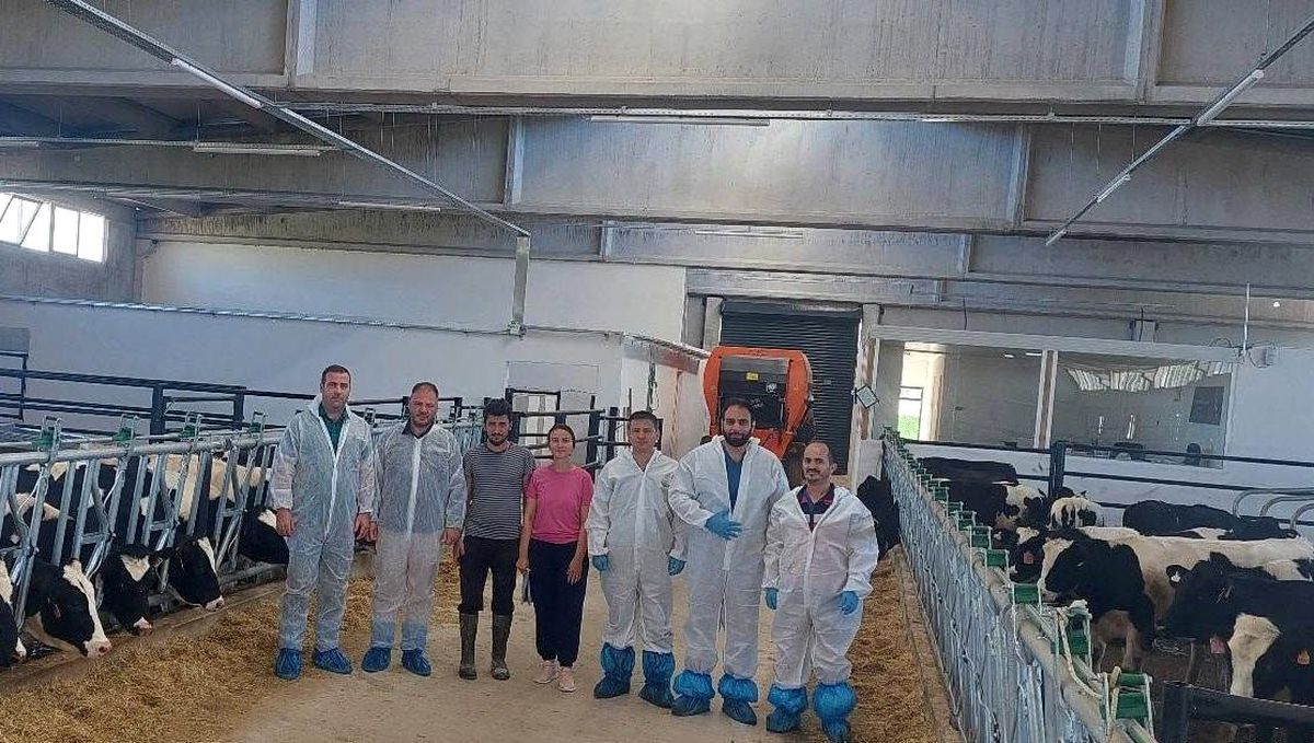 Hisarcık'ta ilk hastalıktan ari büyükbaş işletmesi için önemli adım