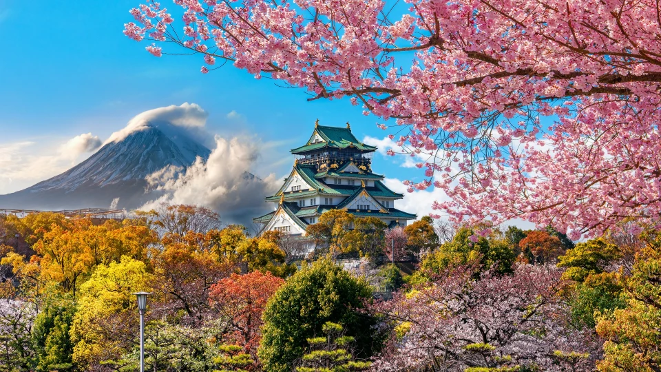 Japonya’ya girişte ilginç engel: Ordulular neden geri çevriliyor?