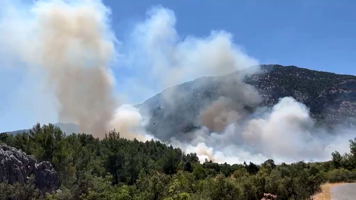Akseki'de Orman Yangını: Havadan ve Karadan Müdahale Devam Ediyor