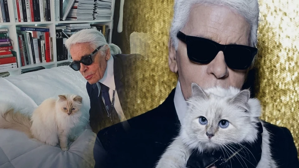 Karl Lagerfeld'in ünlü kedisi Choupette'e miras kalmadı mı? Hizmetçisi sessizliğini bozdu | DÜNYA HABERLERİ