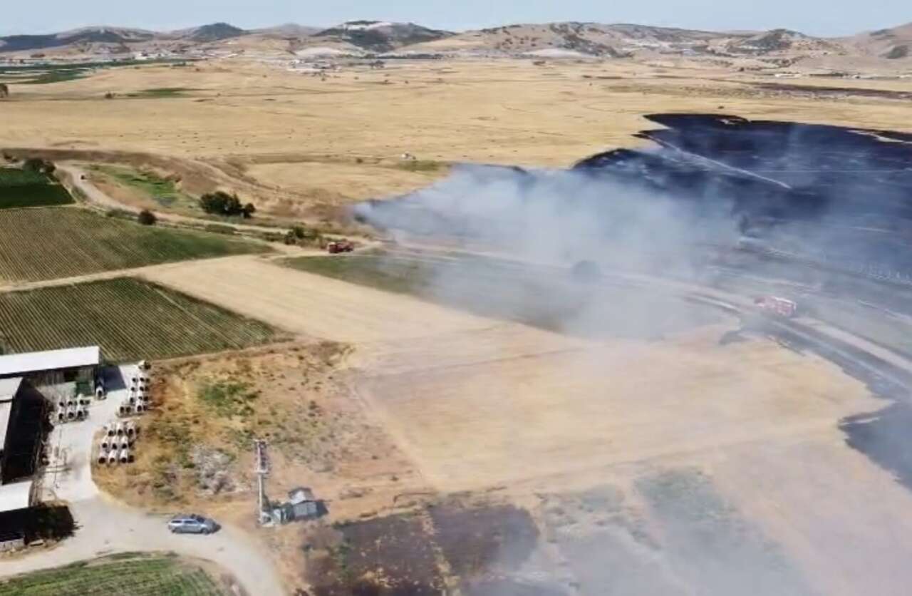 Balıkesir'de arazi yangını! Zirai alanlar küle döndü