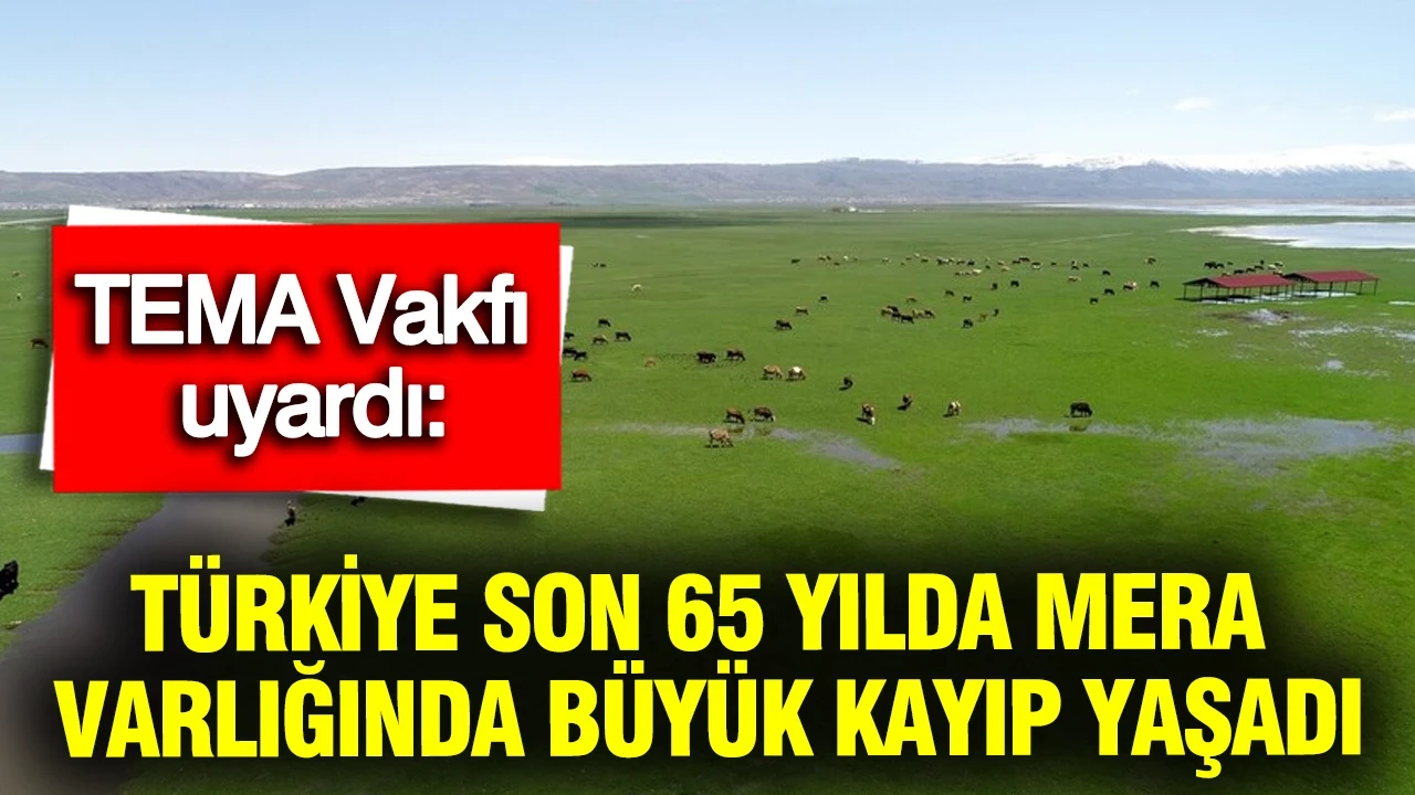 TEMA Vakfı’ndan uyarı: Türkiye son 65 yılda mera varlığında büyük kayıp yaşadı