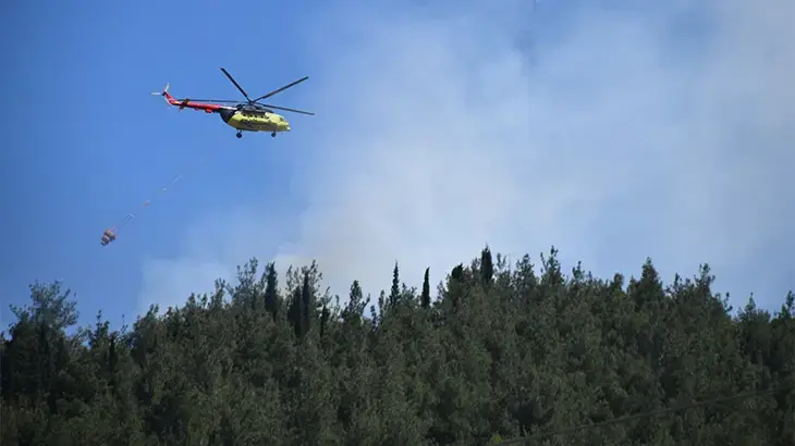 Manisa'da orman yangını! Ekipler sevk edildi