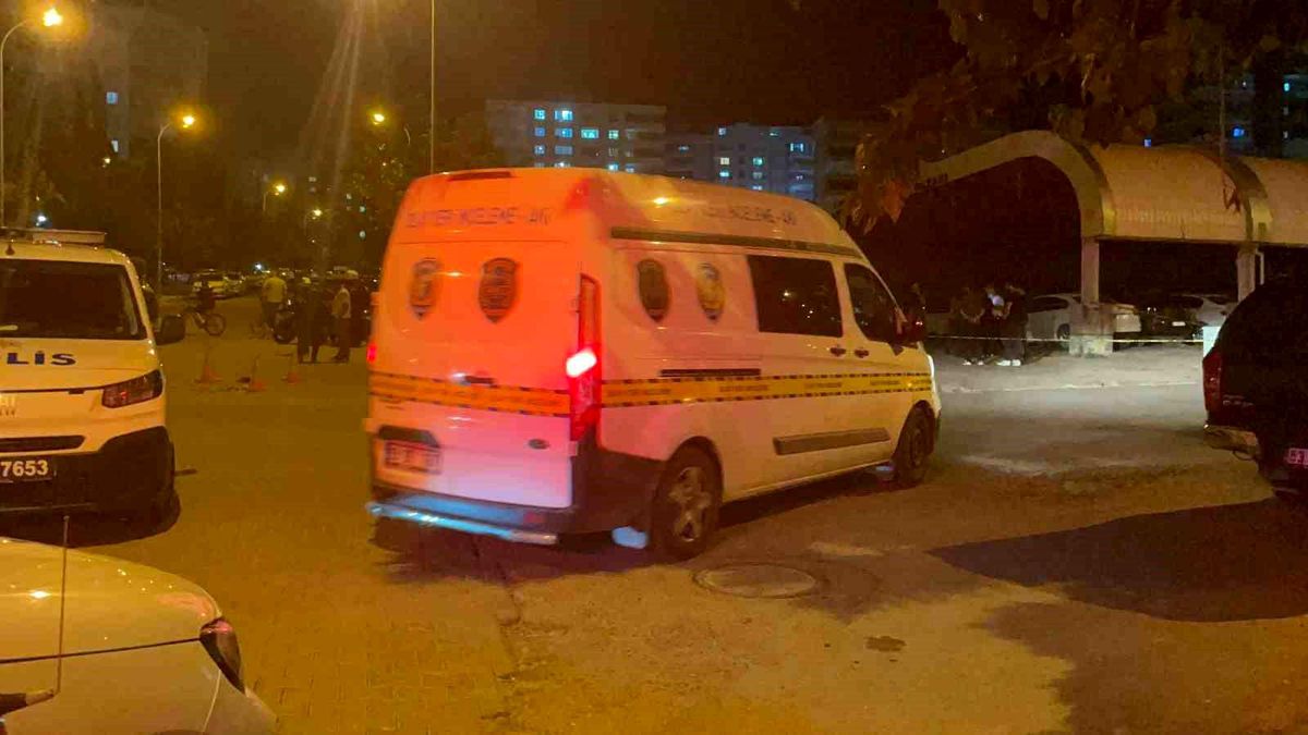 Şanlıurfa'da silahlı kavga: Anne öldü, oğlu yaralandı