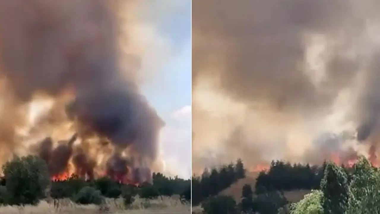 Ankara'da otluk alanda korkutan yangın