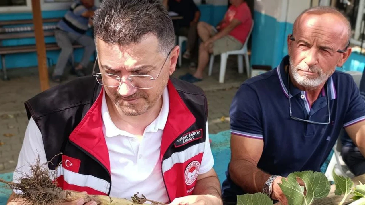 Tekirdağ'da dolu yağışı sonrası tarım arazilerinde hasar tespiti sürüyor