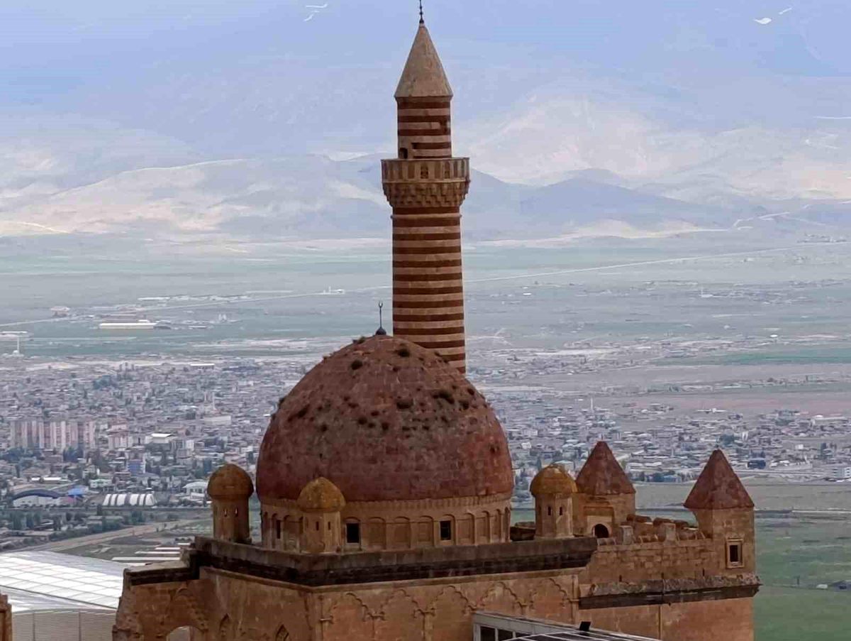 İshakpaşa Sarayı'nın kubbesindeki otlar ziyaretçilerin dikkatini çekti