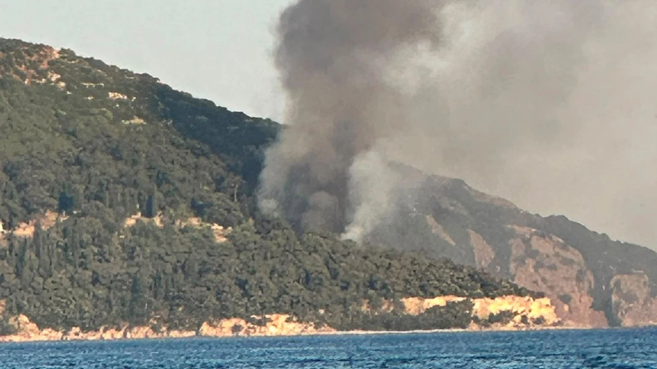 Büyükada'da yangın paniği